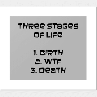 Three stages of life Posters and Art